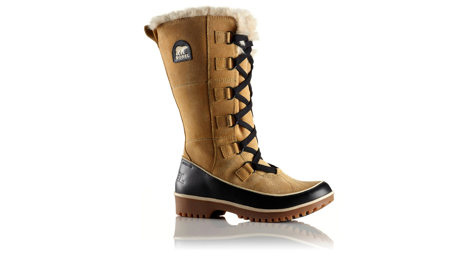 Bottes femme la baie new arrivals