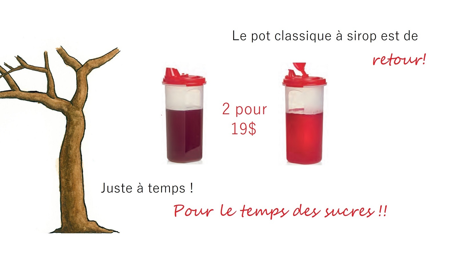 Tupperware Syrup containers 2 for $19 | allsales.ca